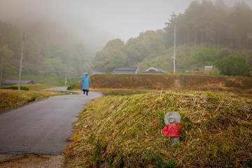 霧の中の田舎道