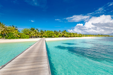 Beautiful Maldives beach, wooden jetty. Tropical landscape background, palm trees, white sand, blue sea and soft waves. Tranquil summer travel destination. Perfect beach vacation and holiday banner 