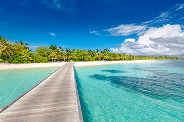 Beautiful Maldives beach, wooden jetty. Tropical landscape background, palm trees, white sand, blue...