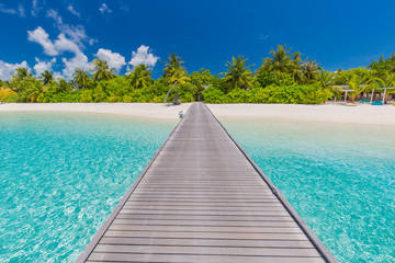 Fototapeta na wymiar Wooden pier and exotic bungalow on the background of a sandy beach with tall palm trees, Maldives
