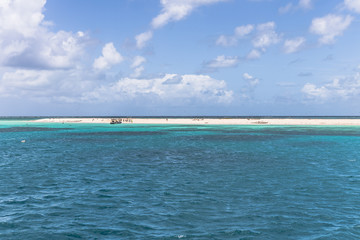 Great Barrier Riff - Michaelmas Cay National Park - 40 km nordöstlich von Cairns im Nordosten des australischen Bundesstaates Queensland