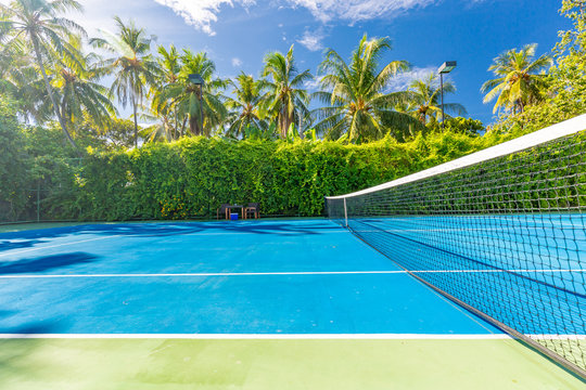 Amazing sport and recreational background as tennis court on tropical landscape, palm trees and blue sky. Sports in tropic concept