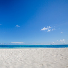 Sea sand sky and summer day. Empty beach scene with horizon and blue sky. Idyll landscape