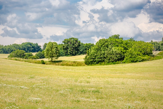 Summer landscape with clear blue sky and field in the foreground