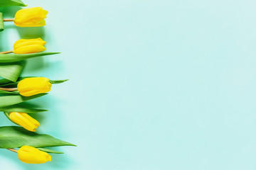 Floral background with yellow tulip flowers on light blue