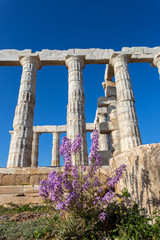 Fototapeta premium ruins ot the temple of Poseidon, Greece