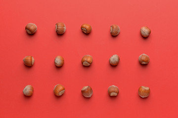 Tasty hazelnuts on color background