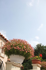house in garden
