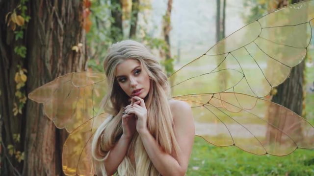 cute wonan fairy fantasy pixie girl blond hair, elf transparent orange wings posing for camera, forest nymph sexy looks. Background autumn nature spring forest tree. Fashion model portrait beauty face