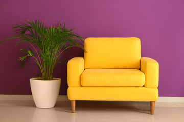 Armchair with houseplant near color wall