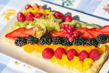 Colorful Fruit cake on a sunny day