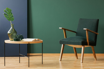 Wooden armchair next to table with leaf and book in green and blue living room interior. Real photo