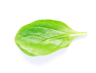 Green spinach leaf on white background - Image