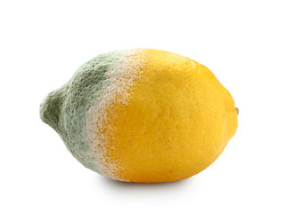 Moldy lemon on white background