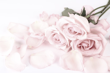 Fototapeta na wymiar gently pink roses retro style. wedding shabby chic background