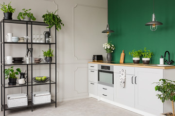 Green and grey kitchen interior with plants and herbs, real photo with copy space