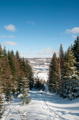 frosty day on the top of the mountain