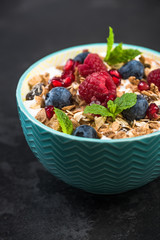 Crunchy granola with berry fruits with milk in bowl