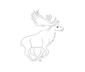 deer running, vector lines