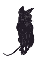 vector illustration of a cat that sits, drawing silhouette