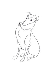 dog sitting, lines, vector