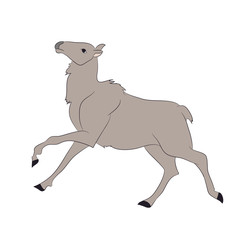 Fototapeta premium deer lies, vector