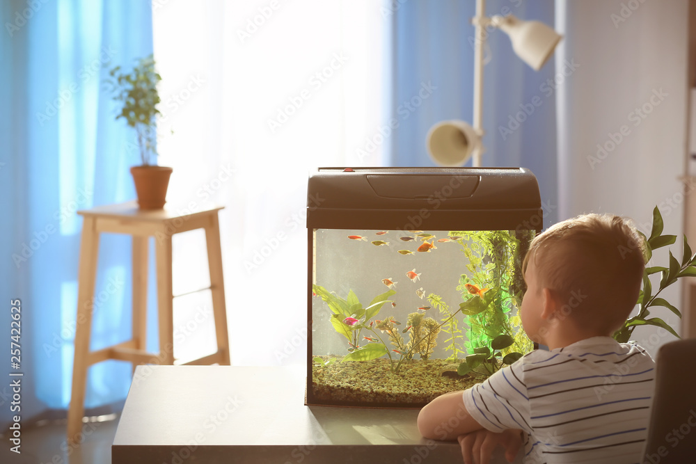 Sticker cute little boy looking at fish in aquarium - Stickers