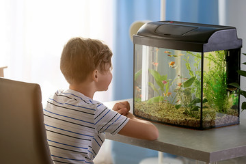 Cute little boy looking at fish in aquarium