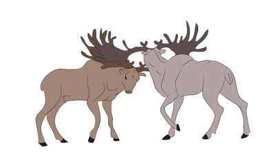Fototapeta na wymiar vector illustration of deer who fight, vector, color