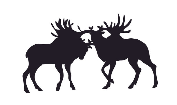 vector illustration of deer that fight, vector, silhouette