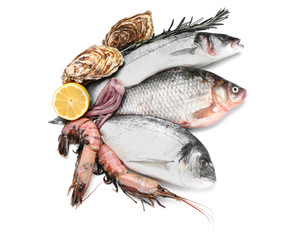 Fresh seafood on white background