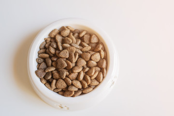 Bowl with dog food on white background