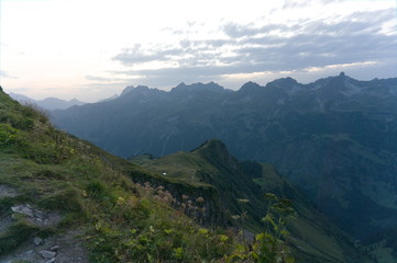 Idyllic mountain scenery in the Alps in springtime with fresh green mountain pastures with blooming flowers in beautiful evening light with blue sky at sunset