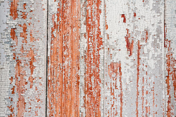 Fototapeta premium Wooden texture with scratches and cracks