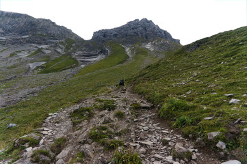 rough harsh landscape in the alps