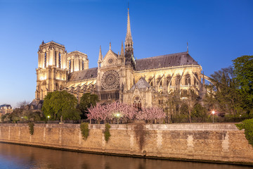 Paris, Notre Dame cathedral in the evening during spring time, France