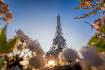 Eiffel Tower during spring time in Paris, France