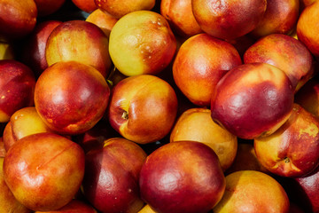 Fototapeta na wymiar Large crop of plums on the counter of the store