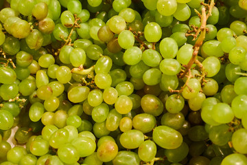 Bunches of green grapes on the store counter
