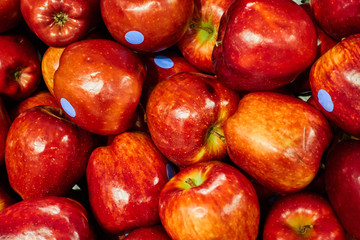 Delicious red apples as background. Close-up shooting