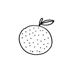 Linear cartoon hand drawn orange. Cute vector black and white orange doodle. Isolated monochrome orange silhouette on white background.