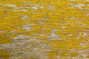 Fototapeta na wymiar texture of wooden boards with old yellow paint