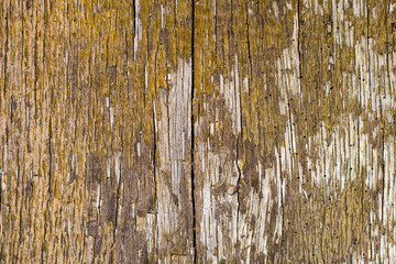 texture of wooden boards with old yellow paint