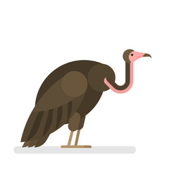 Vulture. Wild bird with brown feather and beak