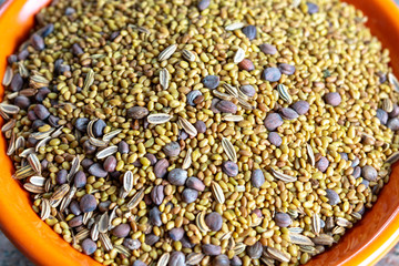 Raw seeds of alfalfa, radish and fennel ready for sprouting in jar with water, healthy vegetarian and vegan food