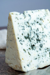 Blue Auvergne semi-hard AOP French blue cheese made from raw cow milk in Auvergne, France