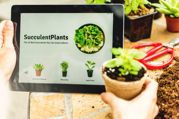 Exploring about plants online