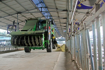 A special vehicles putting feed in the farm, China.