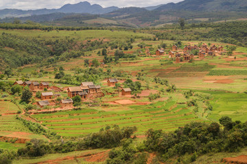 Fototapeta na wymiar typical red houses in the highlands of Madagascar among rice terraces