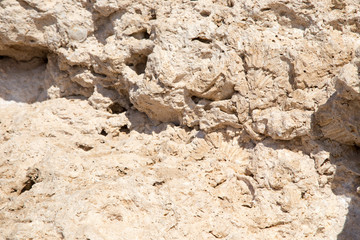 Vintage mud wall in the desert made with beach rocks and coral stones. Texture of stone old wall, old dry coral of brown color. Natural background.